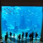 Aquarium - The Lost Chambers im Atlantis